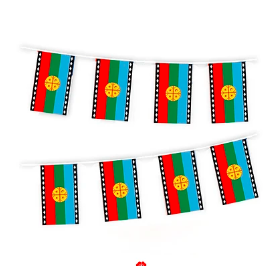 guirnalda bandera mapuche