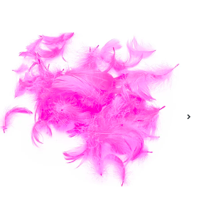 Plumas decorativas fucsia 100pcs