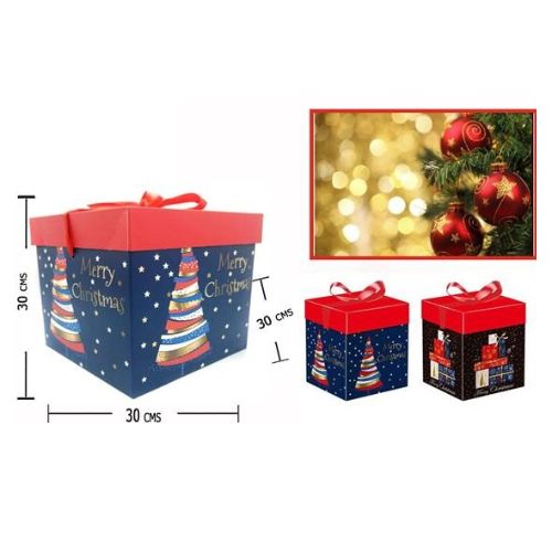 Caja de Regalo L Modelo 9842