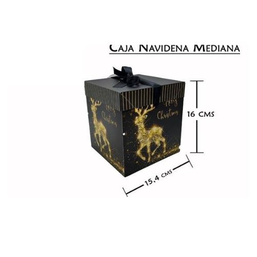 Caja navideña mediana