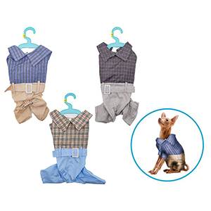 Conjunto de ropa para perro
