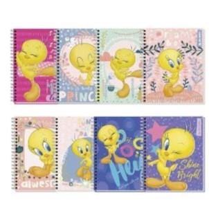 Pack 10 cuadernos unidades Piolin