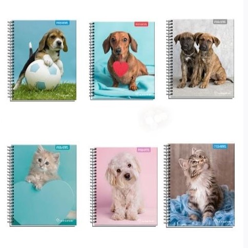 Pack 10 cuadernos universitarios PROARTE