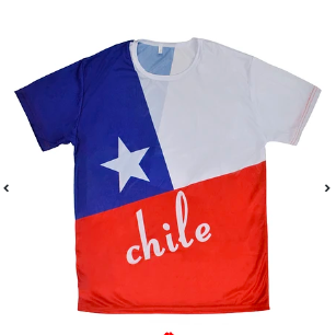 polera manga corta bandera chilena